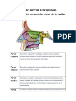 Guia de Sistema Respiratorio