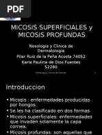 Micosis superficiales y micosis profundas