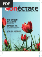 CONECTATE 114-Abril 2010 Cielo, Resiliencia