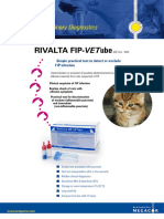 Flyer Rivalta en Mb Od 231211