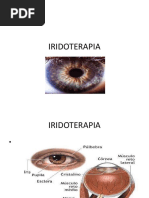 Iridologia Material Complementar 3