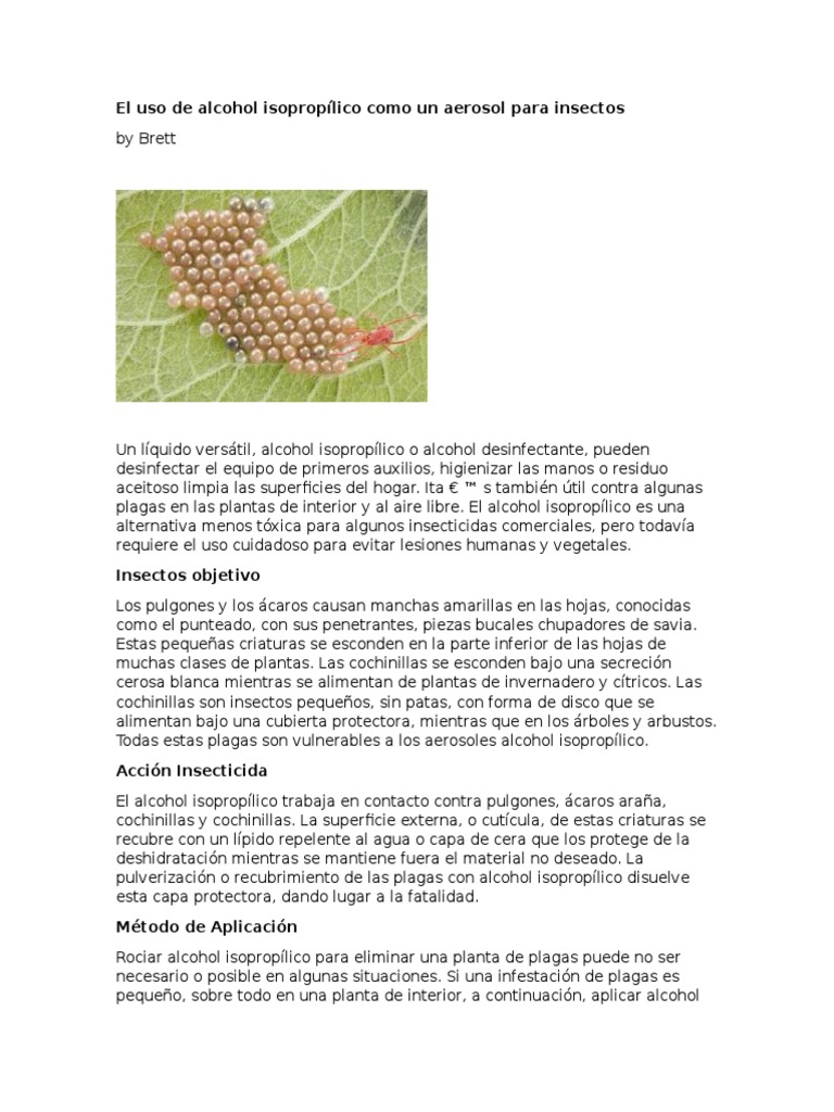 Uso de alcohol isopropílico como insecticida | PDF | Insectos | Insecticida