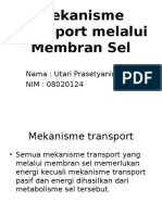 Mekanisme Transport Melalui Membran Sel