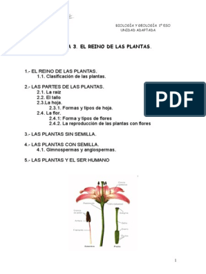 t3 - El Reino de Las Plantas. | PDF | Raíz | Flores