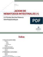 2015 - Practica 12. p Aula Nematodos I