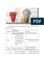 Anatomi, Histo, Fisio Lidah