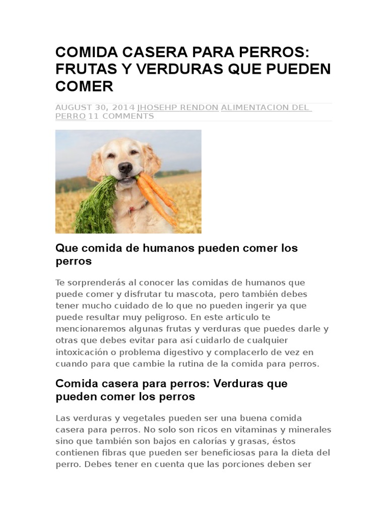 Comida Casera para Perros | PDF | Vegetales | Aceite de oliva