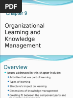 Chapter 9 - Organization Learning