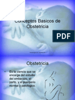 Conceptos Basicos de Obstetricia