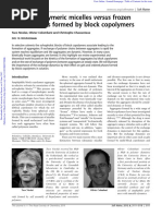 Dinamic Polymeric Micelles vs Frozen Nanoparticles Formed by Block Copolymers