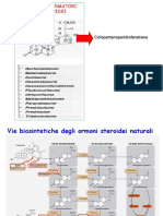 6 Glucocorticoidi