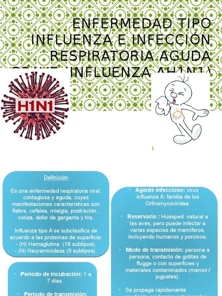 Influenza AH1N1: Síntomas y Riesgos | PDF | Virus de la Influenza A ...