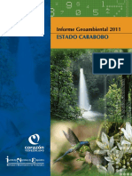 Informe Geoambiental Estado Carabobo