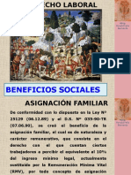 BENEFICIS SOCIALES
