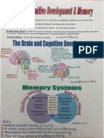 brainsummary2