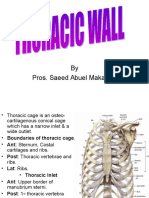 Thoracic Wall