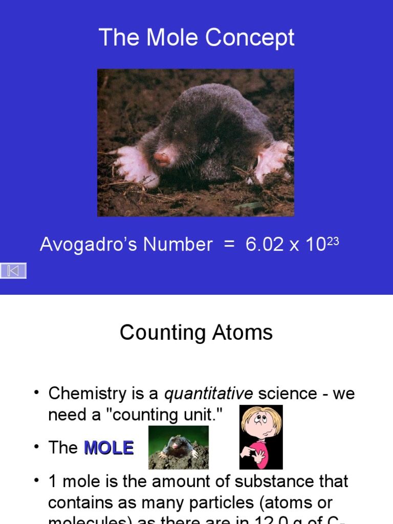 The Mole Concept PDF