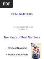 Real Numbers: (As Opposed To Fake Numbers?)