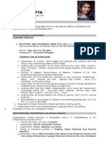 Professional Resume Format (3)