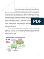 Embriologi Hernia Inguinalis