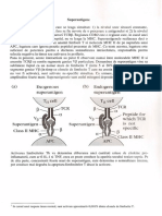 Curs 10 Imuno PDF