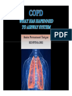 COPDWhat Has Happened To The Airway System - DR Amira 031211 RESPINA