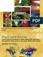 3 Biomes