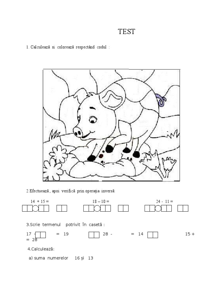 Test Adunarea Si Scaderea 0-31 Fara Trecere Peste Ordin