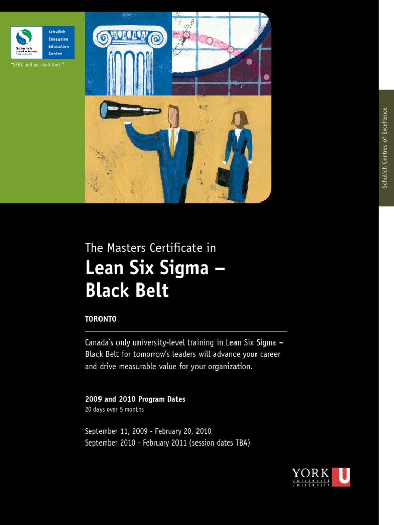 Lean Six Sigma - Black Belt | PDF | Six Sigma | Statistics