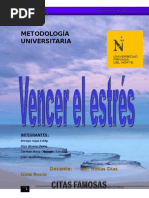 Trabajo Final de Estres..