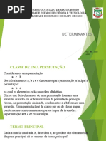 Aula Determinantes 2015