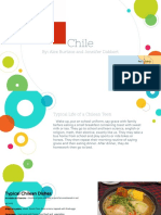 Chile Presentation - Alex Burtzos and Jennifer Dabbert