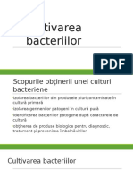 Cultivarea Bacteriilor