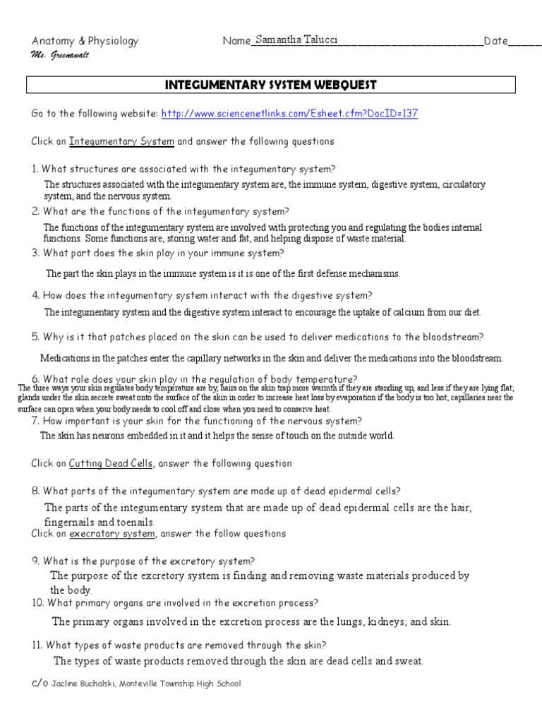 worksheet Integumentary System Worksheet Answers integumentary webquest skin epidermis