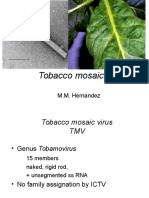 Tobacco Mosaic Virus (1)