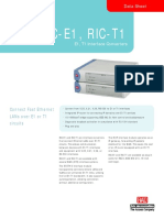 Ric-E1 t1