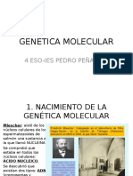 Genetica Molecualr