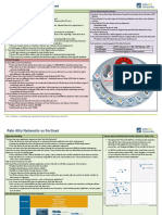 Palo Alto Networks Vs Fortinet