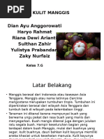 Download KULIT MANGGIS by nauvalaudia SN294895498 doc pdf