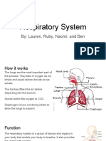 Respiratory System