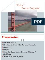 Ciencias 2 Puente Colgante