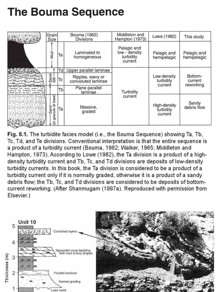 Bouma Sequence in Turbidite Facies | PDF | Clastic Rock | Petrology