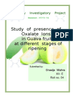 Study of Presence of Oxalate Ions in Guava Fruit at Different Stages of Ripening