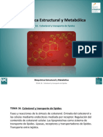 Tema 16. Colesterol y Transporte de Lipidos