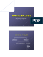 Manchas Foliaresss