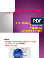 Tejido Epitelial (Histologia de Ross y Paulina)