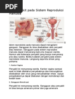 25 Penyakit Pada Sistem Reproduksi Manusia