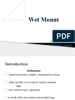 Wet Mount