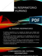 Control 3 Anatomofisiologia Humana y Primeros Auxilios