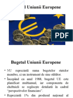 Seminar 6. Bugetul Uniunii Europene